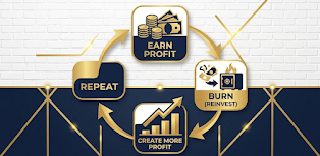 Started Burning Profit Instead of Spending It