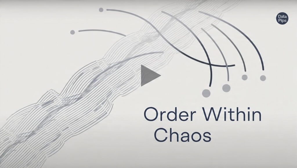 The Order Within Chaos: Why Discipline is a Survival Mechanism