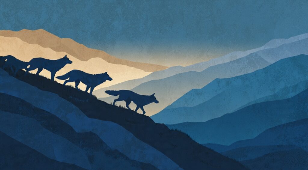 A small purposeful wolf pack moving apart from a distant herd, illustrating choosing your pack over following the herd.